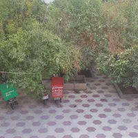 خوابگاه پسرانه عفیف آباد|اجارهٔ کوتاه‌مدت آپارتمان و سوئیت|شیراز, عفیف‌آباد|دیوار