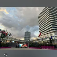 کاریابی حامد در ترکیه