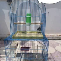 قفس پرنده
