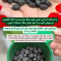 قرص کود گیاهان آپارتمانی|گل و گیاه طبیعی|گنبد کاووس, |دیوار