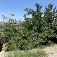 زمین ویلایی ۱۵۰۰ متری دو کله سندتک برگ بدون مشابه|فروش زمین و ملک کلنگی|رودهن, |دیوار