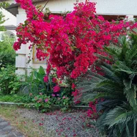 ۳۰۰مترویلا تمیز دربهترین خیابان نور