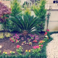 باغبانی هرس درخت گل ،چمن،سم پاشی،کودضمانت باغبان