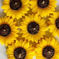 شمع|صنایع دستی و سایر لوازم تزئینی|کرمان, |دیوار