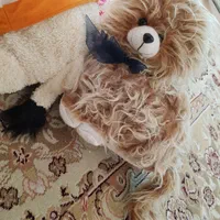 عروسک اسباب بازی خرس گربه مار|اسباب‌بازی بچه|تهران, امیر بهادر|دیوار