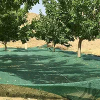 شید / سایه بان / گلخانه ای / توری / راشل|عمده‌فروشی|قزوین, |دیوار