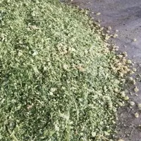 یونجه جو سبوس سویا خوراک دام شیری و پرواری|عمده‌فروشی|شیراز, کوشک میدان|دیوار