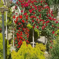 باغ ویلای 1000 متری/مجوز/چاه شخصی/آسفالت/حیدرآباد|فروش خانه و ویلا|اصفهان, سعادت‌آباد|دیوار