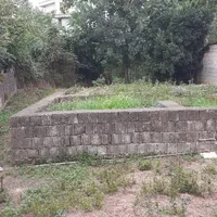 فروش زمین مسکونی  به متراژ ۲۹۵ متر|فروش زمین و ملک کلنگی|رشت, لاکان|دیوار