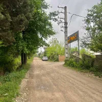 زمین سند تک برگ سرمایه گذاری ساخت کنار جنگل دریاچه|فروش زمین و ملک کلنگی|چمستان, |دیوار