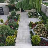 باغبانی هرس درخت گل ،چمن،سم پاشی،کودضمانت باغبان|خدمات باغبانی و درختکاری|کرج, گلشهر|دیوار