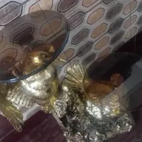 مجسمه پرنده|مجسمه، تندیس، ماکت|تربت جام, حافظ|دیوار