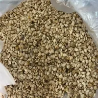 فرآوری و پخش کنجد|خوردنی و آشامیدنی|مشهد, شهرک صنعتی توس|دیوار