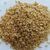 پخش کنجد ارده،روغن کنجد،روغن ارده،ارده،روغن زیتون|عمده‌فروشی|تهران, استاد معین|دیوار