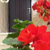 ویلاسوییت حیاط دارداری دوپارکینگ سرپوشیده|اجارهٔ کوتاه‌مدت آپارتمان و سوئیت|آستانه اشرفیه, |دیوار