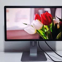 مانیتور 22 ipsبا کیفیت تصویر فول اچ دی با گارانتی|قطعات و لوازم جانبی رایانه|شیراز, زند|دیوار