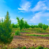 ۱۰۰/250مترمسکونی آب برق شاهنامه معاوضه206زانتیا|فروش خانه و ویلا|مشهد, جاهد شهر|دیوار