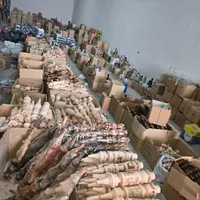 قلیان|کلکسیون و سرگرمی|اصفهان, حصه جنوبی|دیوار
