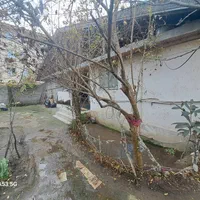 خانه ویلایی کلنگی۲۵۰مترزمین،بنا۱۰۰متر|فروش خانه و ویلا|تالش, هشتپر|دیوار