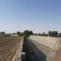 زمین کشاورزی با مجوز آماده برای ساخت گلخانه|فروش زمین و ملک کلنگی|شریفآباد, |دیوار
