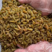 کشمش سایه خشک افتابی شیره انگور شیره خرما|خوردنی و آشامیدنی|تهران, شهرک شریعتی|دیوار