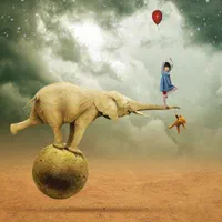 تدوین گر کلیپ ها،تامنیل یوتیوب و گرافیست هستم