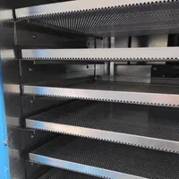 دستگاه سبزی خشک کن میوه گازی