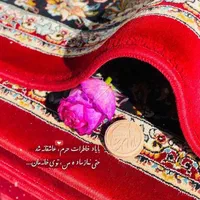 قالیشویی مبل شویی «همشهری»در مشهد تضمینی قالی شویی|خدمات نظافت|مشهد, هدایت|دیوار