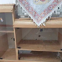 زیرتلویزیونی