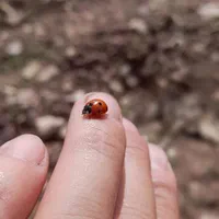 راهنمایی خانه
