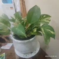 به علت جا به جایی