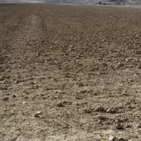 فروش زمین ۸ هکتار|فروش زمین و ملک کلنگی|گندمان, |دیوار