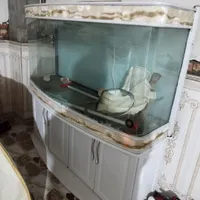آکواریوم شرکتی شیشه خم،
