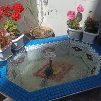 حوض و ابنما وباربیکیو