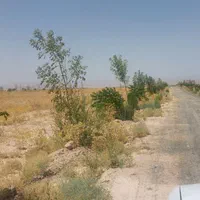 زمین ملکی ۳۰۰متری با وکالت کلاکوب|فروش زمین و ملک کلنگی|مشهد, امام خمینی|دیوار