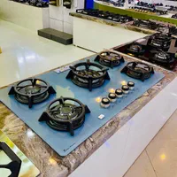 گاز صفحه ای طوسی دیلر کد 7560