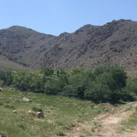 زمین و باغ مشجر قمصر سند تکبرکً