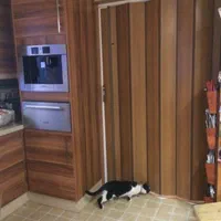 درب اکاردونی و کشویی(mdf چرمی pvc)|مصالح و تجهیزات ساختمان|تهران, مهران (سیدخندان)|دیوار