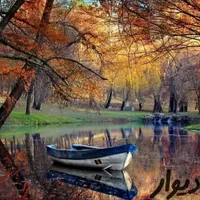اقساطی عمده و خرده (کاغذدیواری و پارکت)|خدمات پیشه و مهارت|تبریز, |دیوار