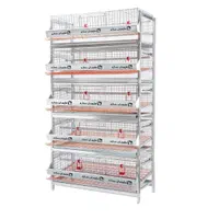 قفس مرغ و قفس بلدرچین و قفس جوجه ضدزنگ + گارانتی|لوازم جانبی حیوانات|زنجان, |دیوار