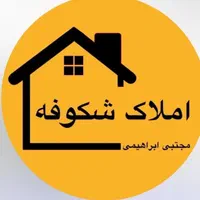 استخدام کارمند دفتری برای مشاور املاک