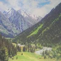 نقاشی ساختمان و نقاش ساختمان|خدمات پیشه و مهارت|تبریز, |دیوار