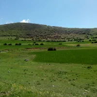 اجاره زمین در کجور کندلوس/کیاکلا/مونج/جاده نیچکوه