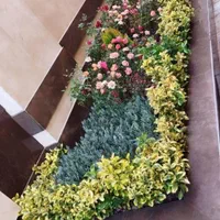 خدمات باغبانی باغچه کاری گلکاری درختکاری خاک گلدون|خدمات باغبانی و درختکاری|تهران, گیشا|دیوار