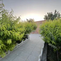 فروش باغچه ۵۰۰ متری سندتک برگ/استثنایی/سنددار|فروش خانه و ویلا|شهریار, حصار ساتی|دیوار