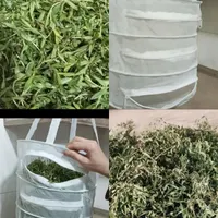 توری سبزی/میوه خشک کن|ظروف نگهدارنده، پلاستیکی، یک‌بارمصرف|الیگودرز, |دیوار