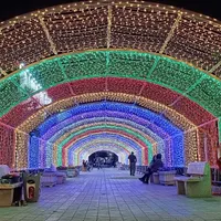 ریسه سوزنی و اجرای تونل نور حرفه ای