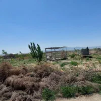 ۱۰۰۰متر /کردان/سهیلیه/زعفرانیه/دولت آباد|فروش زمین و ملک کلنگی|کرج, گلشهر|دیوار