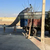 پلی کربنات فایبرگلاس طلق شیروانی کارتن پلاست|عمده‌فروشی|هشتگرد, |دیوار