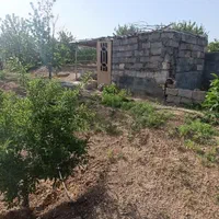 باغ بادام ۱۰۰۰متری باسند تگ برگ رسمی